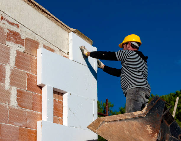 Best Insulation Inspection Services  in Elkin, NC