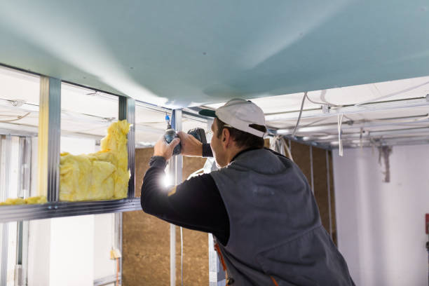 Trusted Elkin, NC Insulation Contractor Experts