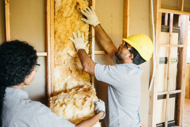 Best Insulation Contractors for Homes  in Elkin, NC