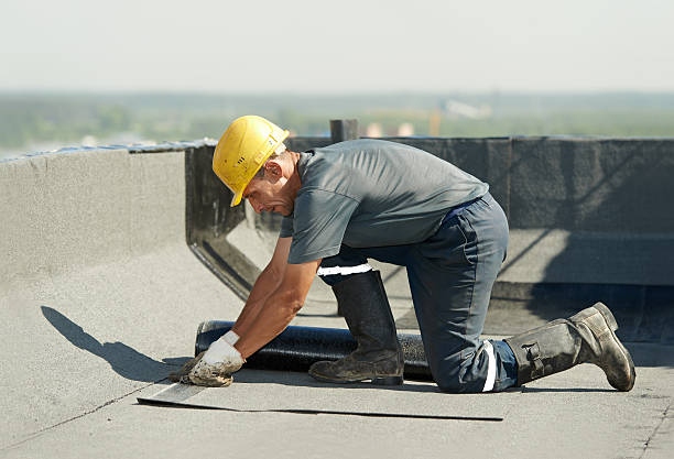 Best Insulation Contractor Near Me  in Elkin, NC