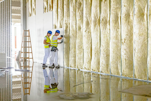 Best Insulation Repair Services  in Elkin, NC